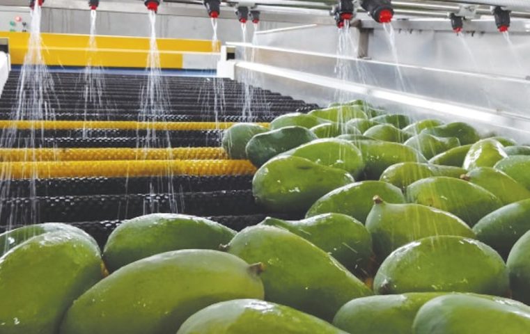 Pakistan set to miss mango export target