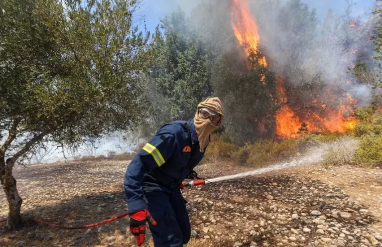 Deadly Mediterranean wildfires kill more than 50