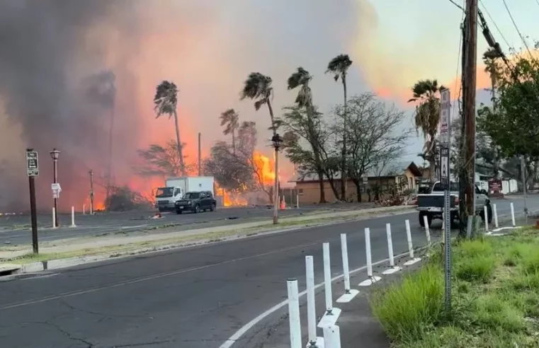 Hawaii fires: At least 36 killed as wildfires tear through Maui island