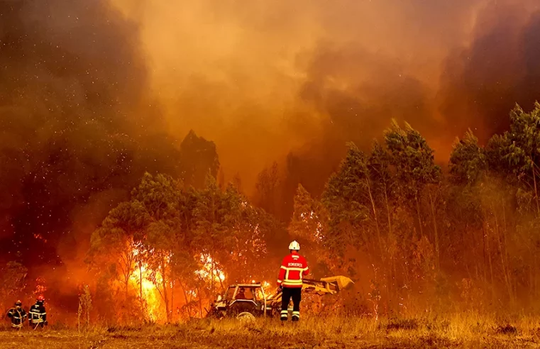 Europe: Portugal battles wildfires amid third heatwave of the year