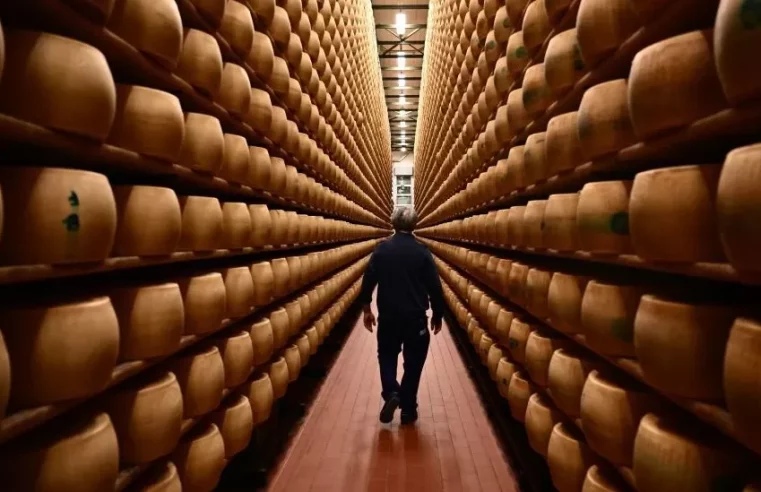 Italian man crushed to death under falling cheese wheels