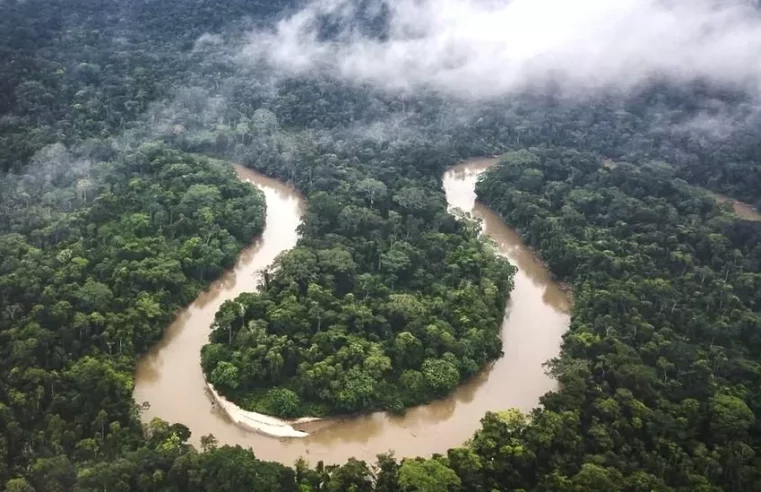 Amazon rainforest reaching tipping point, researchers say