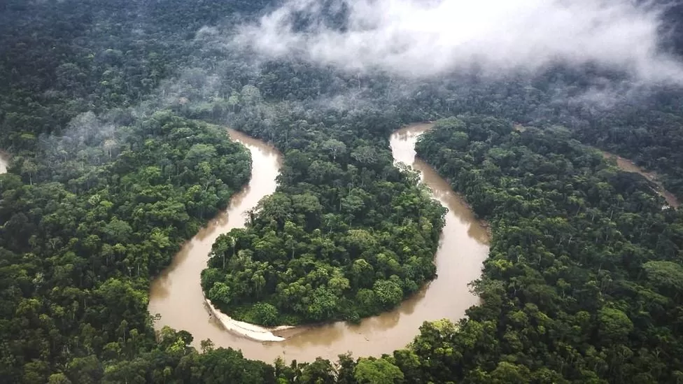 Amazon rainforest reaching tipping point, researchers say