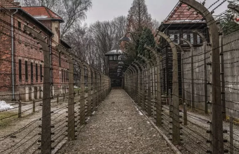 X removes Holocaust-denying post after Auschwitz Museum criticism