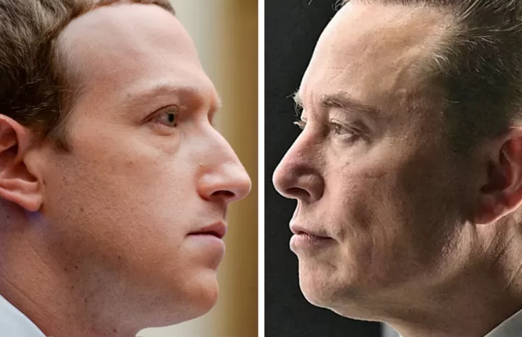 Elon Musk vs Mark Zuckerberg fight will be streamed on X