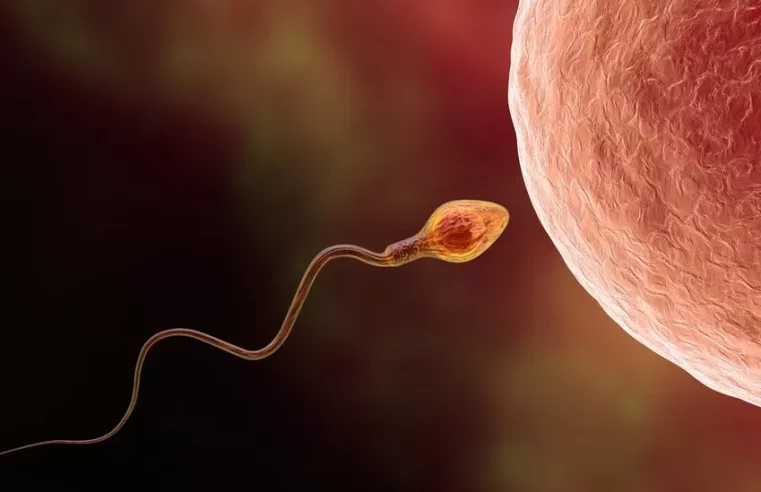 How AI may be a powerful tool in treating male infertility.