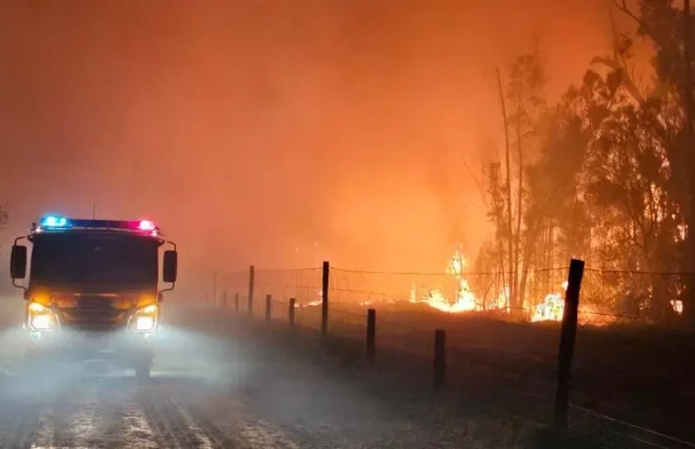 Australia fires Dreaded bushfire season turns deadly