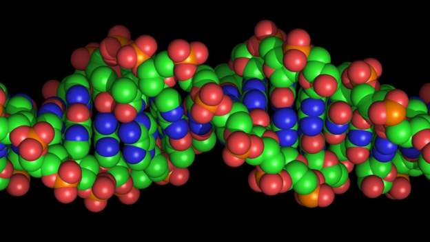 Project launched to address African gap in DNA research