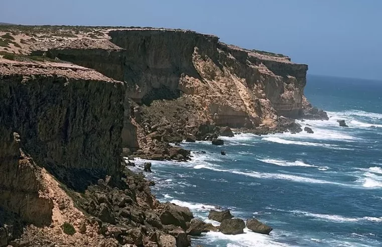 Australia shark attack search under way for surfer