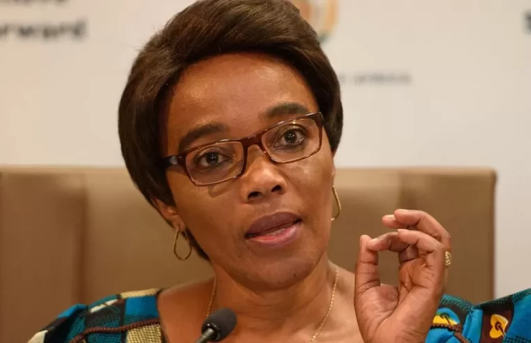 Thieves put gun to Transport Minister Sindisiwe Chikunga’s head